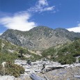 圖一：圓柏枯木橫躺秀姑坪為前景，秀姑巒山雄峙藍天白雲間，好一座大山。 名山嘉言： 最大山脈的最高盟主 最大花海但最難看到 秀姑巒山小檔案： 級數三級：挑戰級 高度：3805公尺 行程日數：四日 地理位置：南投縣信義鄉、
